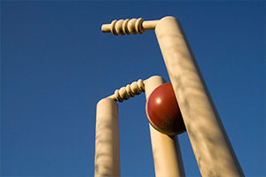 Cricket Stumps