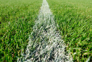 White lines on grass